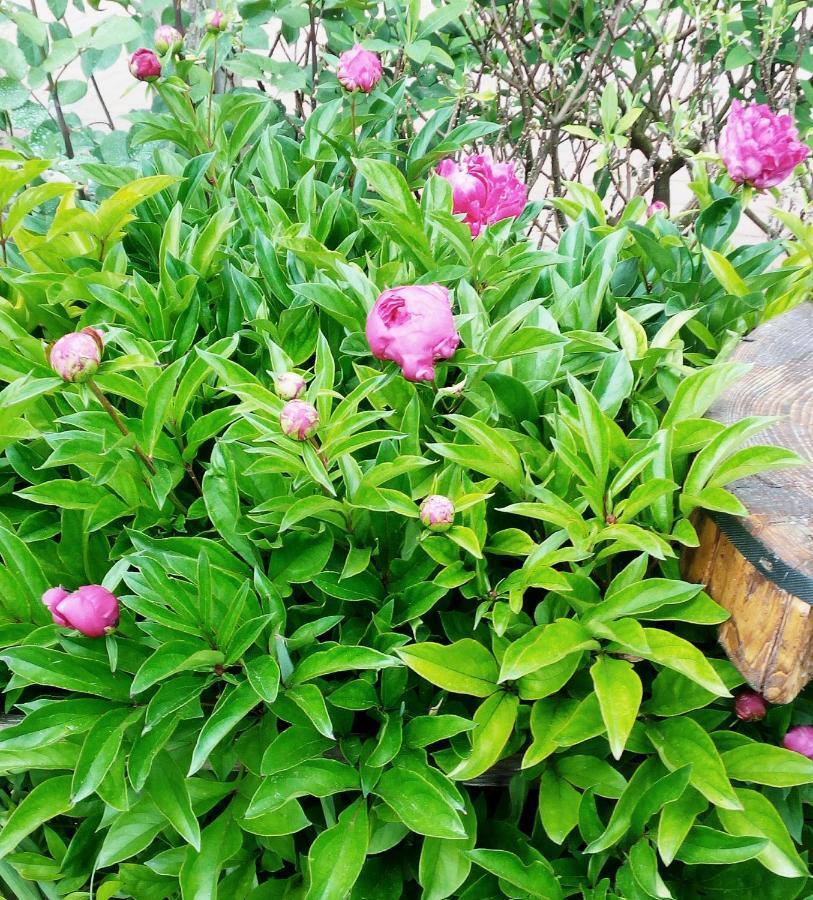 FontanafreddaLa Fonte住宿加早餐旅馆 外观 照片